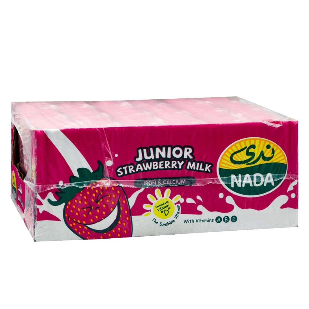 Nada Junior Strawberry Milk 115ml ندى حليب فراولة115 مل