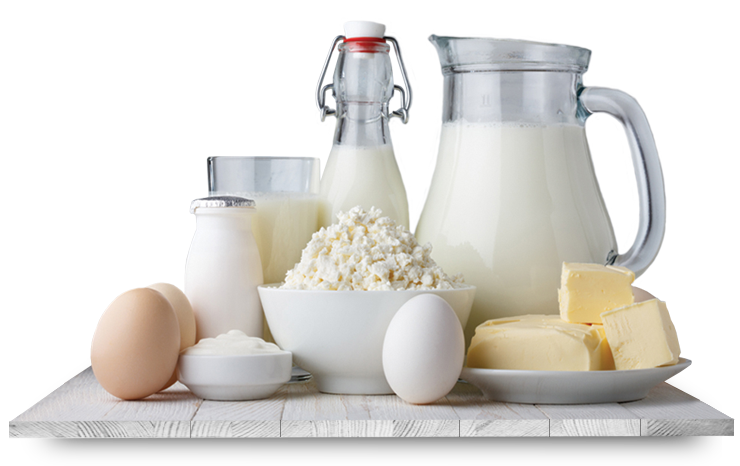 Dairy Products