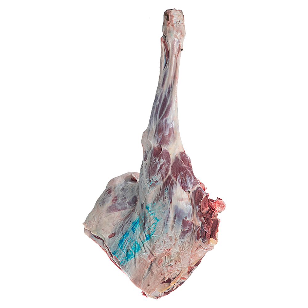 Camel Meat Baladi حاشي عربي بالعظم