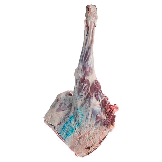 Camel Meat Baladi حاشي عربي بالعظم