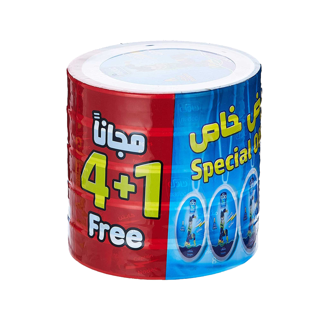 Nadec Triangle Cheese 4+1X100Gm نادك جبن مثلثات 120 غم عرض خاص 4+1مجانا