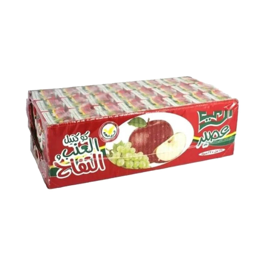 Alrai Apple Drink 125ml x 24 x الري شراب تفاح 125 مل