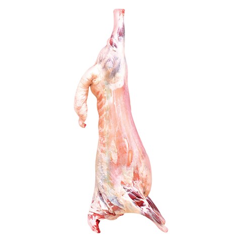 W: Sawakni lamb م.لحم غنم سواكني وزن